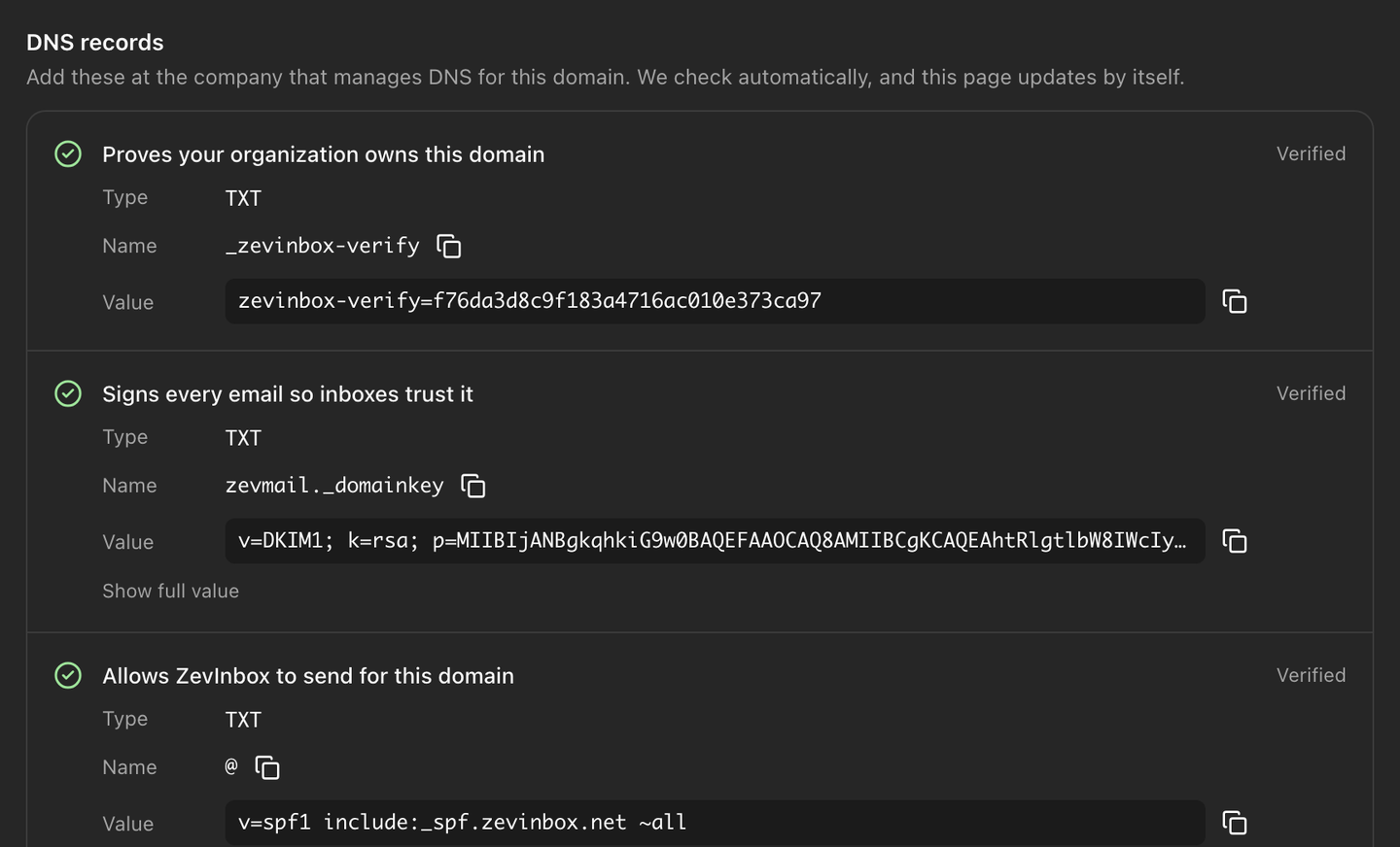 The DNS records to add for a custom domain, each with a copy button and its check status.