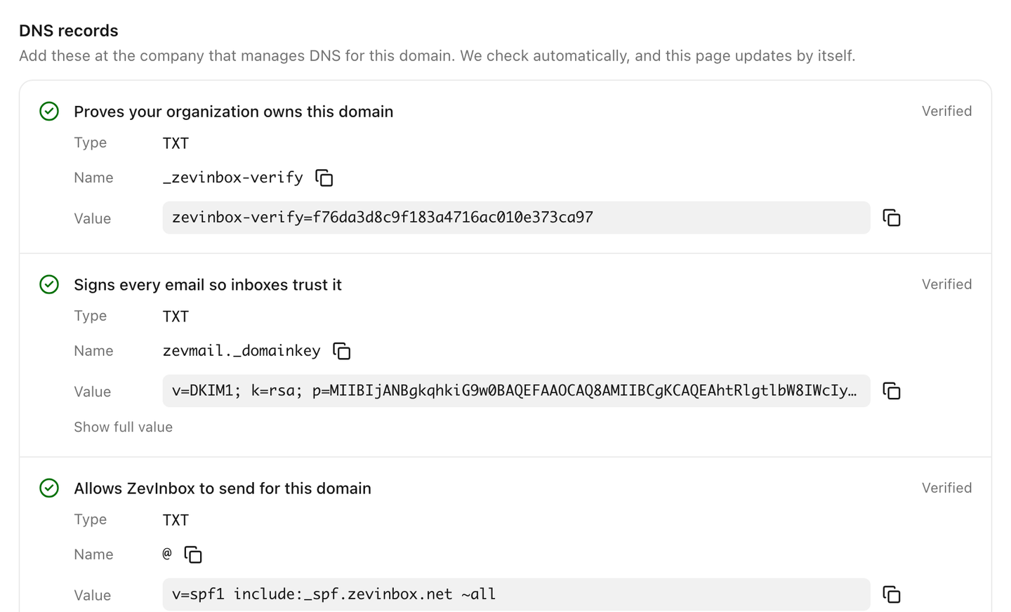 The DNS records to add for a custom domain, each with a copy button and its check status.